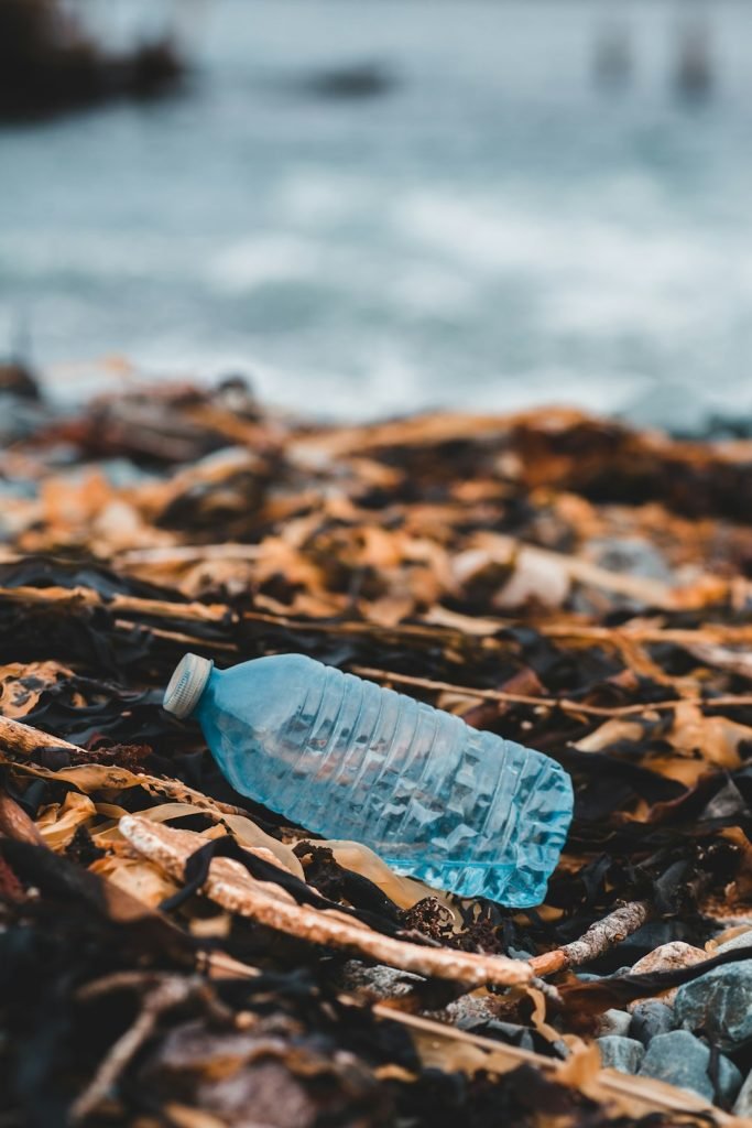 blue-plastic-bottle-on-brown-dried-leaves-gjcx5khulzi