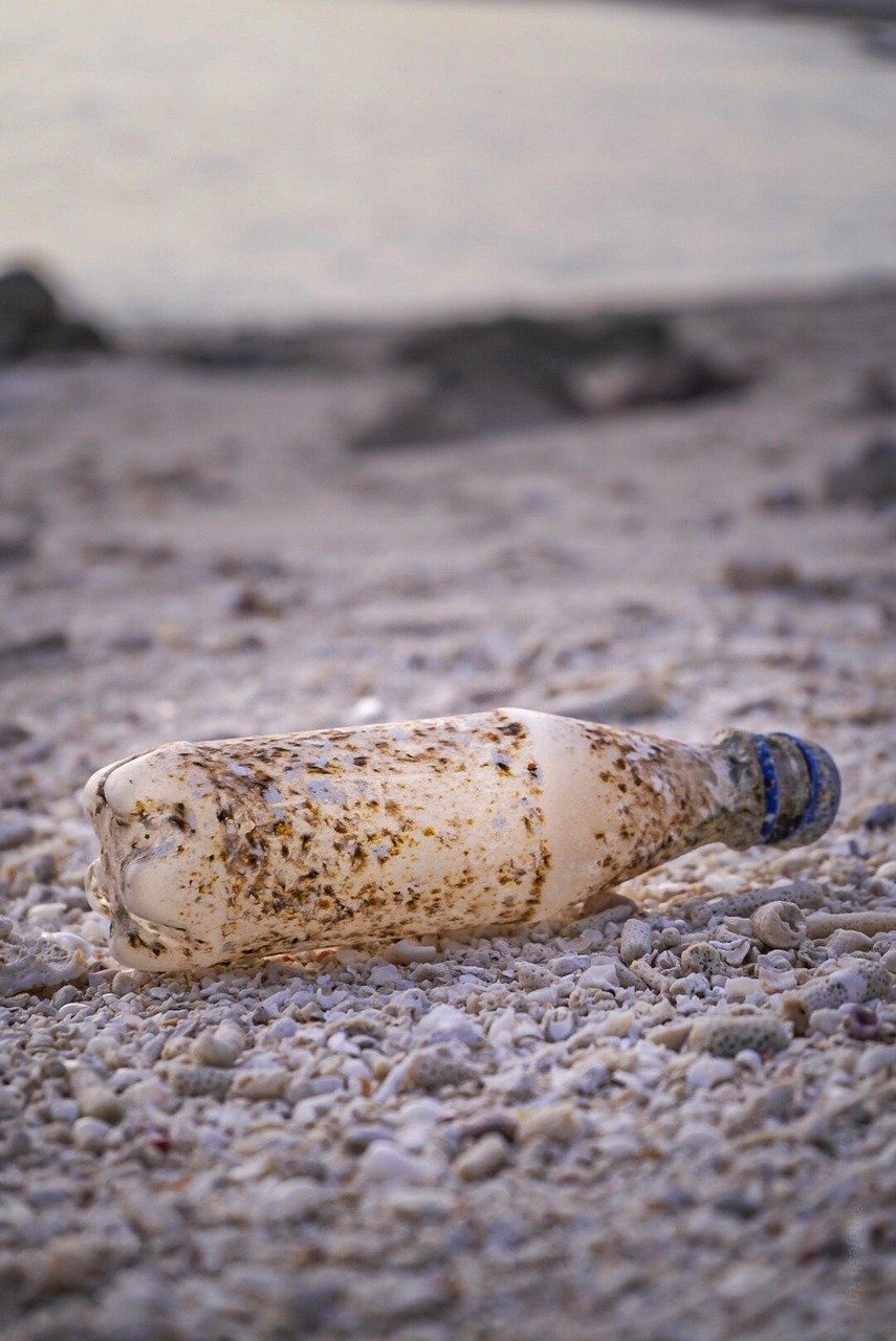 bottle, trash, pollution, plastic pollution, empty bottle, plastic bottle, recycling, waste, garbage, environment, ecology, eco, environmental, rubbish, disposal, plastic pollution, plastic pollution, plastic pollution, plastic pollution, plastic pollution, plastic bottle
